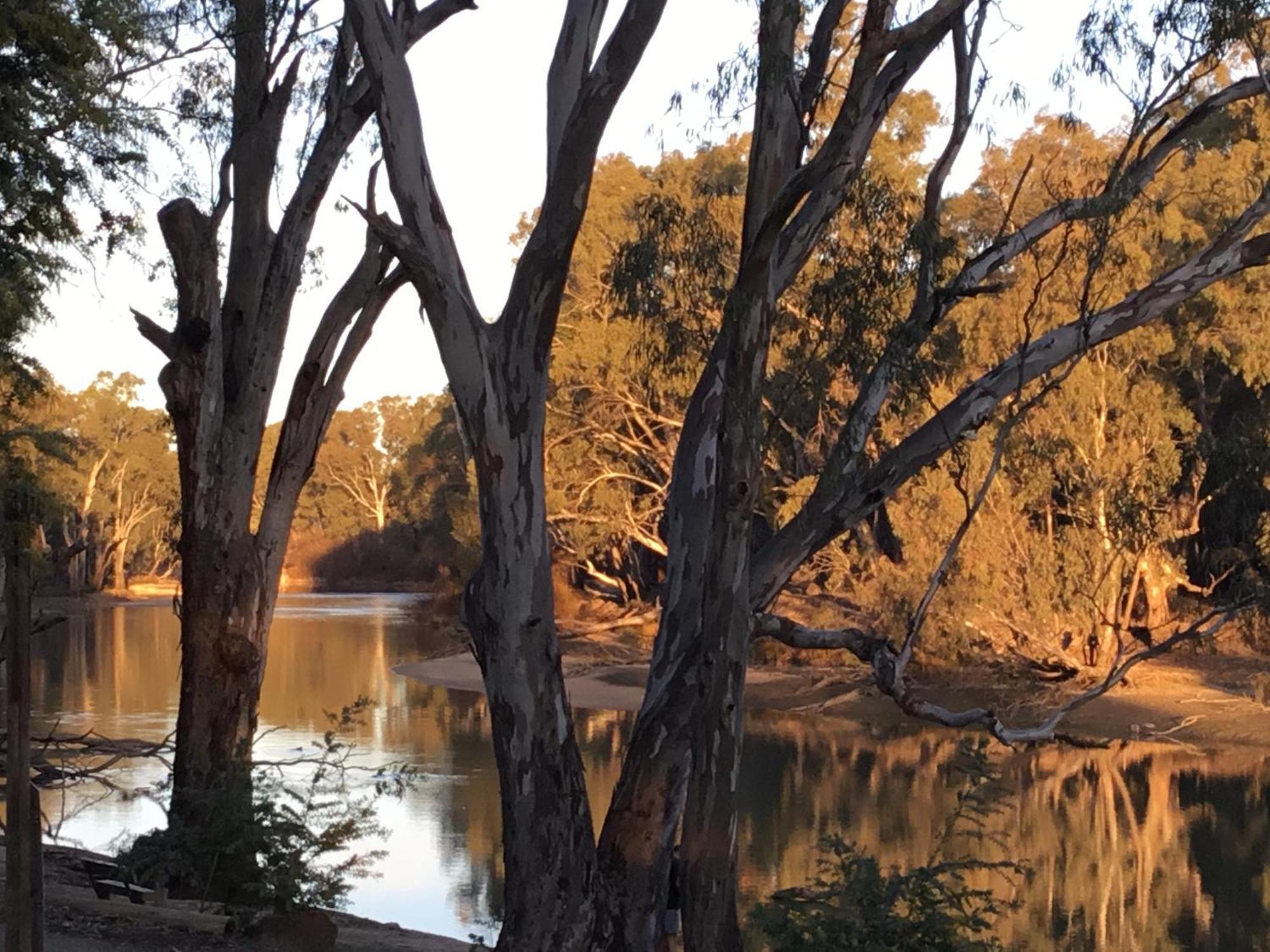 Deniliquin Riverside Caravan Park المظهر الخارجي الصورة