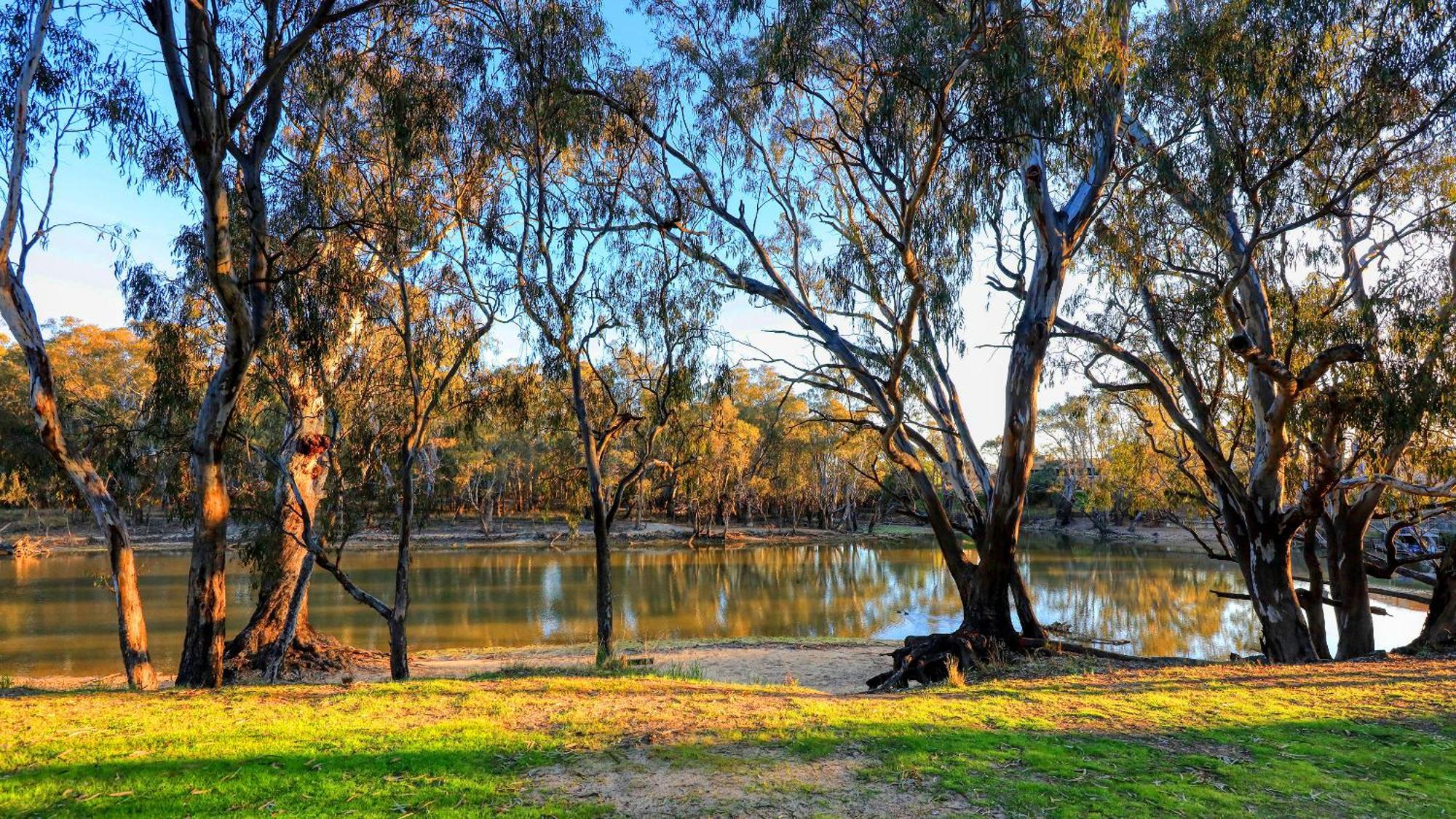 Deniliquin Riverside Caravan Park المظهر الخارجي الصورة