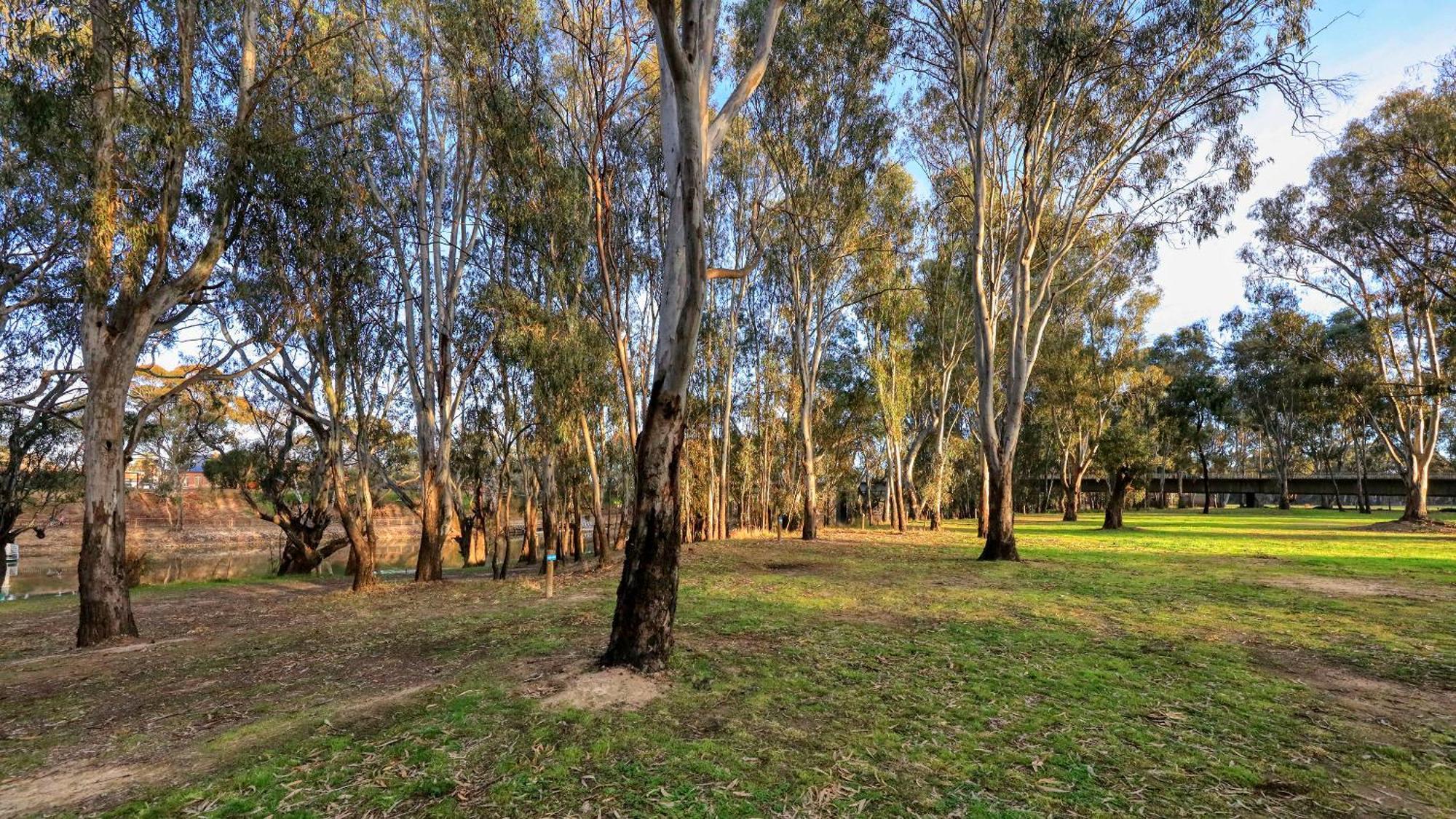 Deniliquin Riverside Caravan Park المظهر الخارجي الصورة